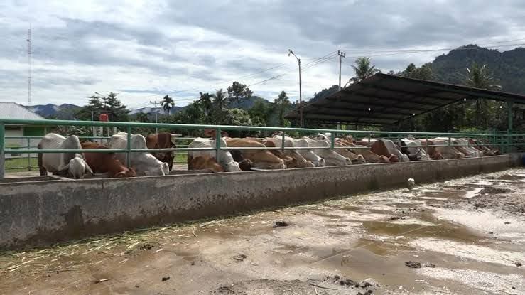 https://ppid.padang.go.id/public/public